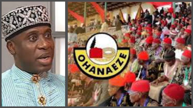 Ohanaeze Ndigbo Rebukes Amaechi Over ‘Reckless’ Remarks Against Tinubu
