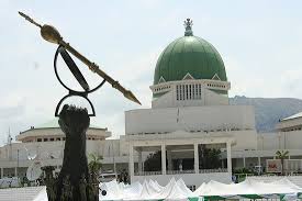 NASS’ Proposal For 31 Additional States – A Wasteful Venture