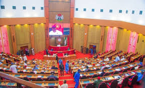 Senate Shifts Debate on State of Emergency in Rivers to Thursday