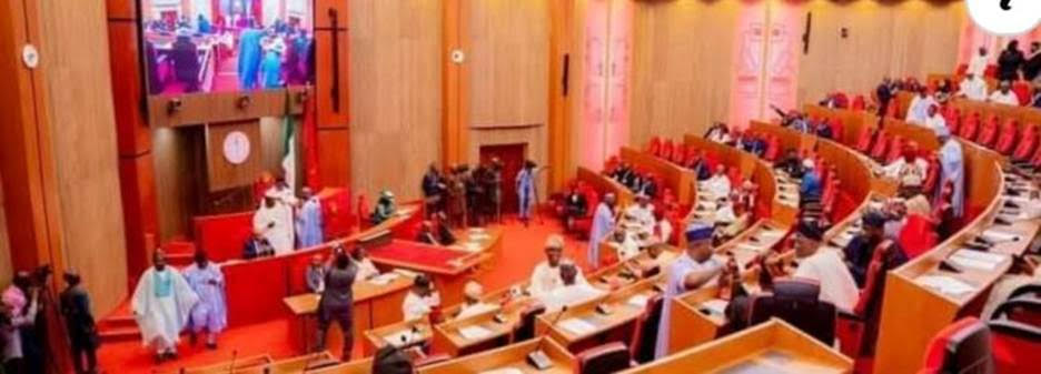 Akpabio Vs Natasha: You’ve Desecrated the Senate, Ezekwesili Bombs Senators