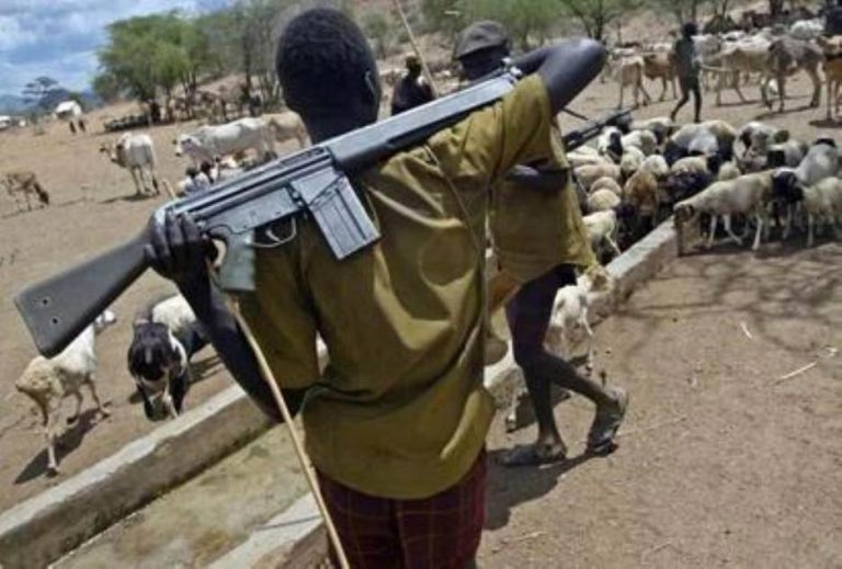 11 Killed in Fresh Herders’ Attack in Benue