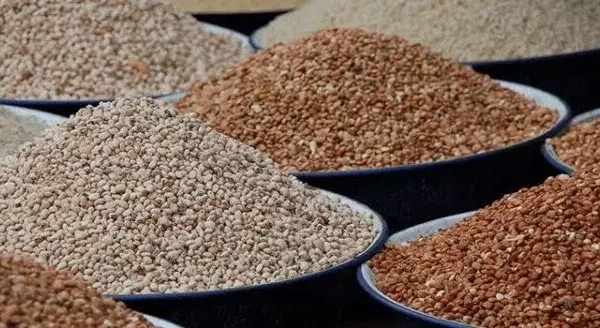 Bumper Harvest Crashes Price of Beans by Over 100% 