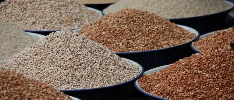 Bumper Harvest Crashes Price of Beans by Over 100% 