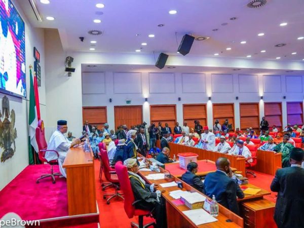  Tinubu’s 17 Appointees for Three Rivers Agencies Screened by Senate Committee