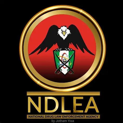Edo: 29-Year-Old Woman Bags 10 Years Jail Term or N25m Fine for Drug Trafficking