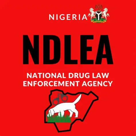 Edo Police Assures Of Unbiased Investigation Into Alleged Killing Of 16-Year-Old Boy In Shoot-out Between NDLEA Operatives And Drug Barons Edo Police Assures Of Unbiased Investigation Into Alleged Killing Of 16-Year-Old Boy In Shoot-out Between NDLEA Operatives And Drug Barons