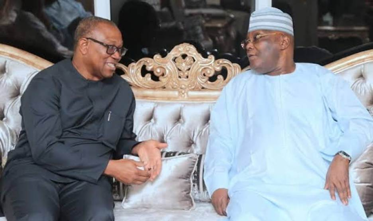 2027: Ohanaeze Youth Council Gives Peter Obi 72 Hours To Quit ADC, Accusing Atiku, Ihedioha, Kenneth Okonkwo Of Being Moles With Mission To Hand Tinubu Easy Victory
