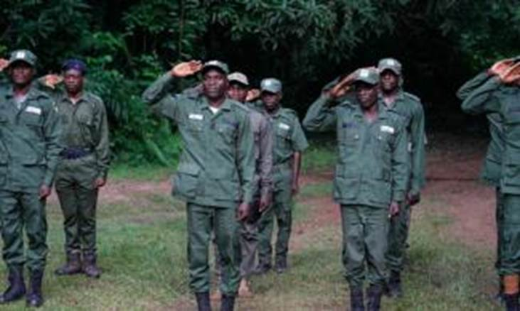 Forest Guards Abandon Posts, Decry Unpaid Salaries, Hunger, Poor Weapons In Kwara, Enugu