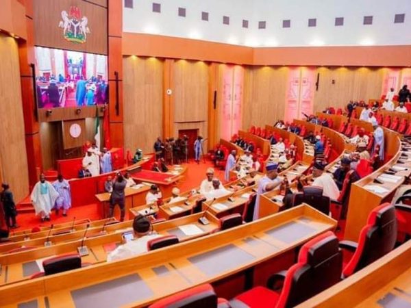 Senate Constitutes 18-man Committee to Oversee Activities of Rivers Sole Administrator