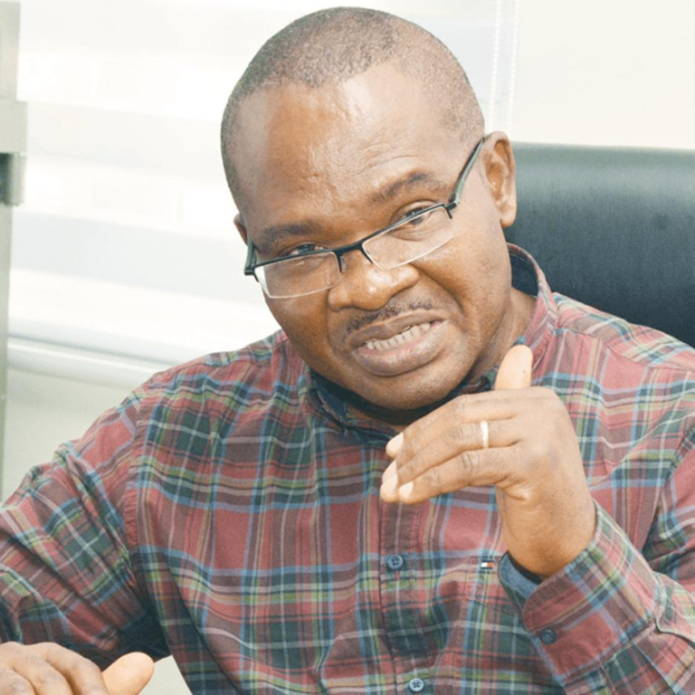 Holding All Elections In One Day Will Cost 30% Of Current Spending – Nwankwo; Says Elections Have Become Honey Pot For Election Managers And Participants