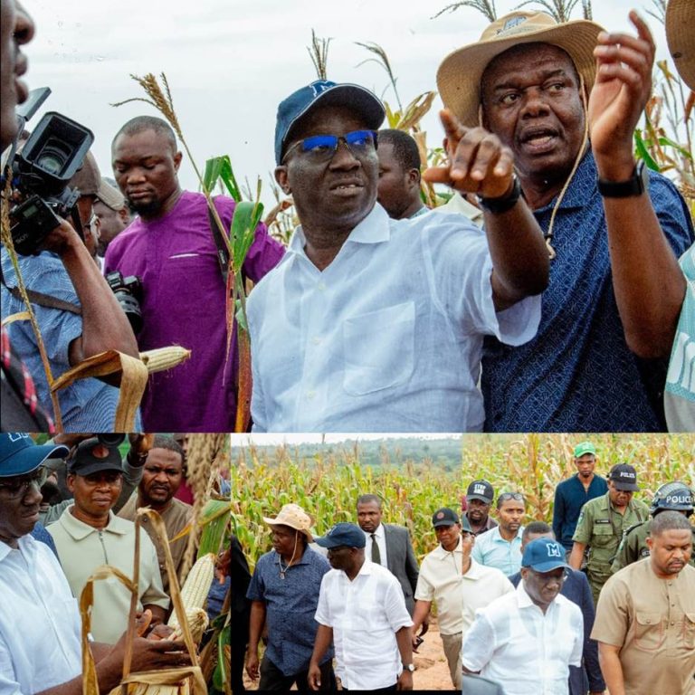 Okpebholo Pursues Food Security Agenda, Inspects Udomi Farm Okpebholo Pursues Food Security Agenda, Inspects Udomi Farm