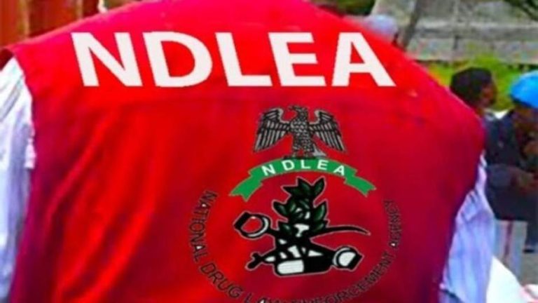 Bedlam In Benin As NDLEA Operatives Fire Gunshots To Stop Fleeing Driver Who Hit Their Vehicle