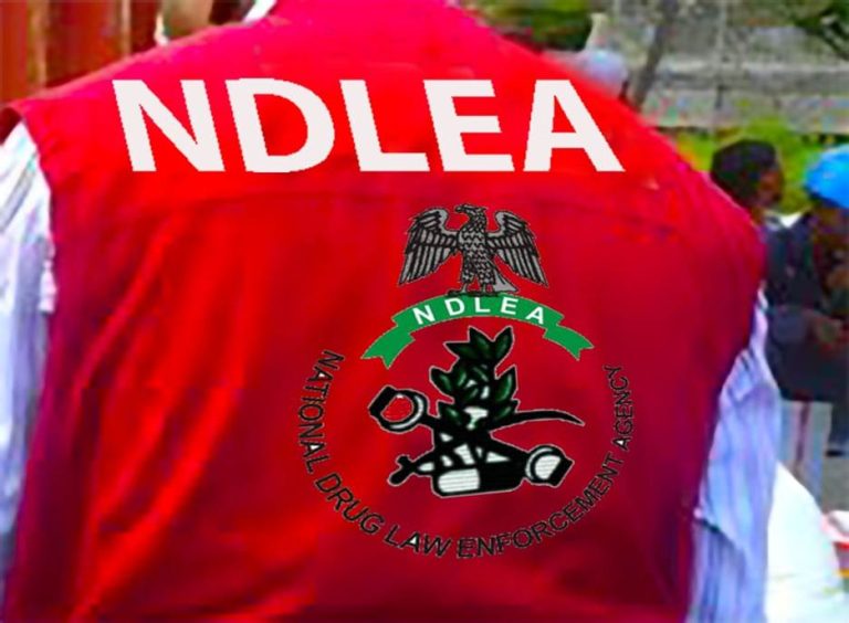 One NDLEA Officer Injured In Shoot-out Following Ambush By Drug Barons In Edo One NDLEA Officer Injured In Shoot-out Following Ambush By Drug Barons In Edo