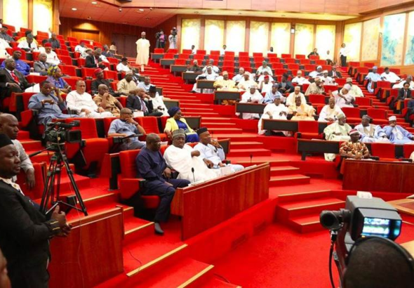 Anger In The Senate Over Flaunting Of Cash, Giveaway of N100m To Public By Bandits On TikTok; DSS Given Marching Order To Track Down, Arrest Suspects